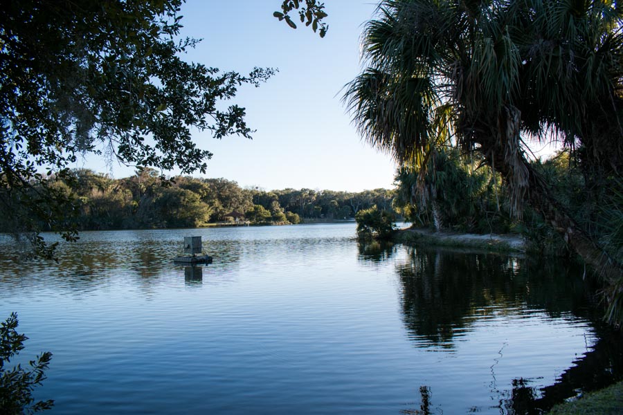 Looking over the lake at Hanna Park