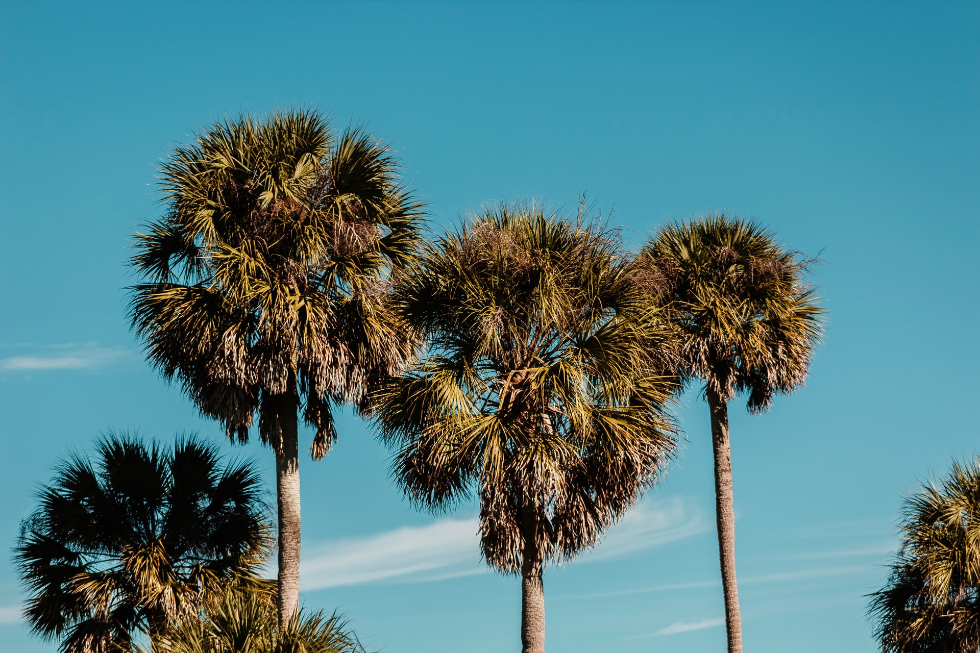 Anna Maria Island