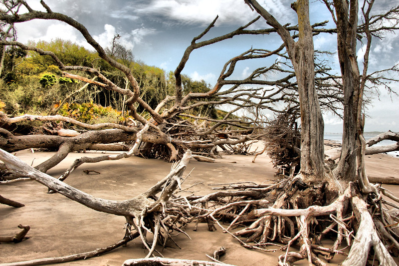 Big Talbot Island State Park